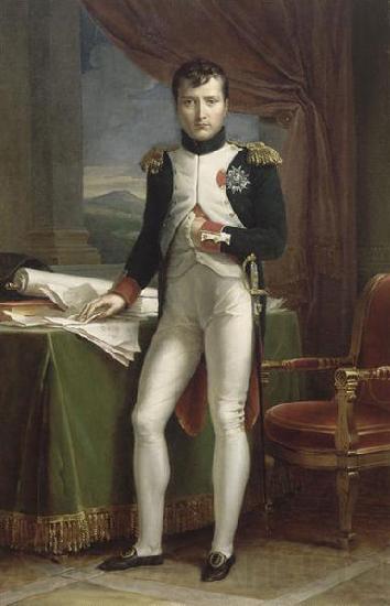 Francois Pascal Simon Gerard Portrait de Napoleon Ier en uniforme de colonel des grenadiers a pied de la Garde France oil painting art